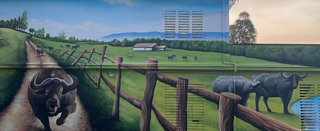 Tenuta Selvalunga, si riparte dalla legalità con un centro di formazione